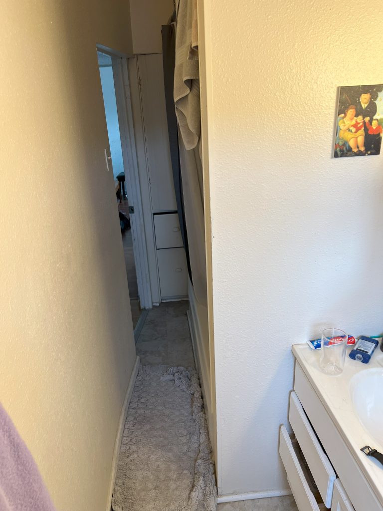 A narrow hallways holds the bathtub and serves as the entrance into the main space before the small bathroom remodel occurred.