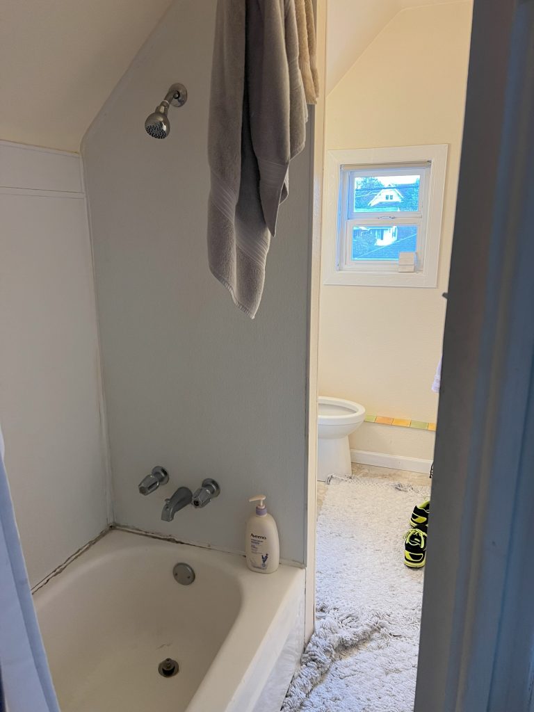 A bathtub creates a narrow hallway leading into the rest of a small bathroom.